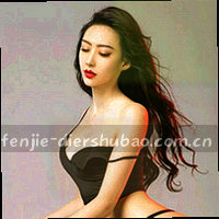 盾牌与数据流抽象图形
